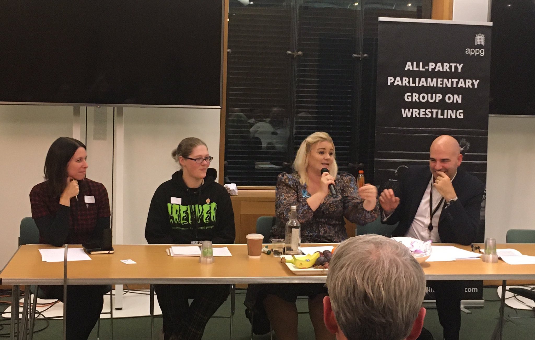 All Party Parliamentary Group for Professional Wrestling